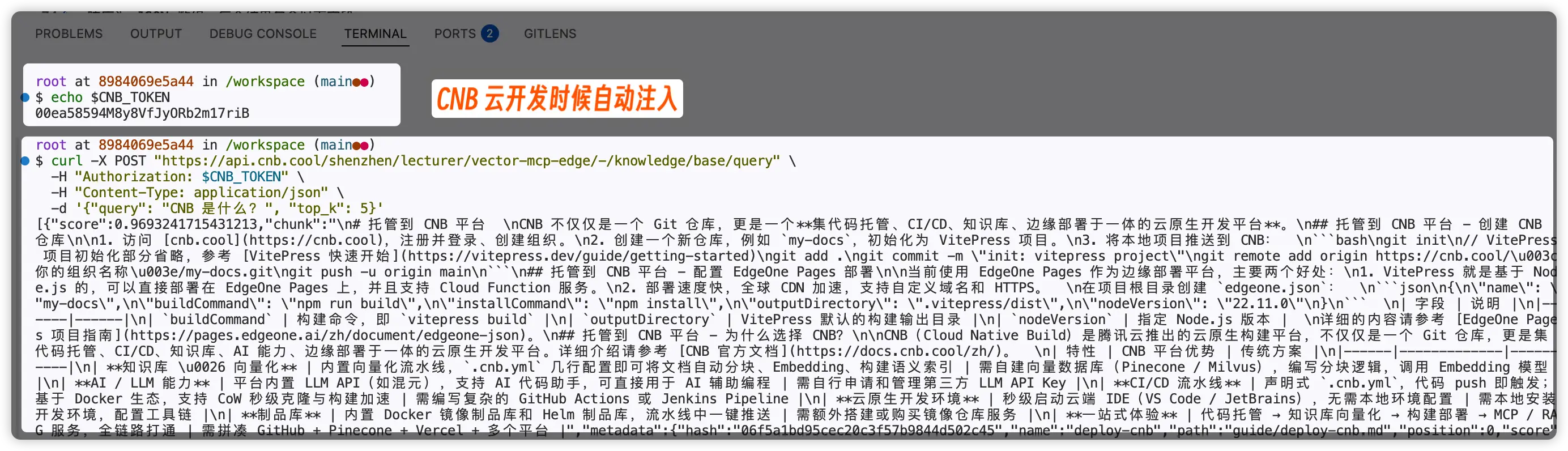 云开发时候自动注入 CNB_TOKEN